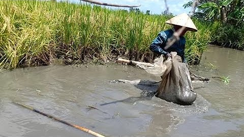 24h Ngoài Đồng Kéo Cá Cạn Của Hai Mẹ Con Miền Tây Và Cái Kết Đầy Cá | Trúc Phương Vlog