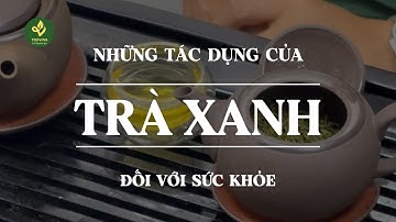 Uống Trà Xanh Thái Nguyên Mỗi Ngày Mang Lại 6 Điều Bất Ngờ Này! | TRAVINA