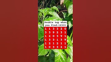 Double tap when you find-12333 #shorts #puzzlegame #mathstricks