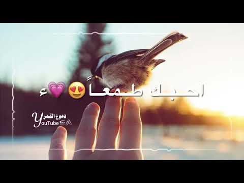 بحب عبدتك ربي من أجمل الأناشيد الاسلاميه اناشيد دينيه حالات واتس اب اناشيد دينيه استوريات اناشيد