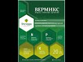 Вермикс от Фитерры на огурцах