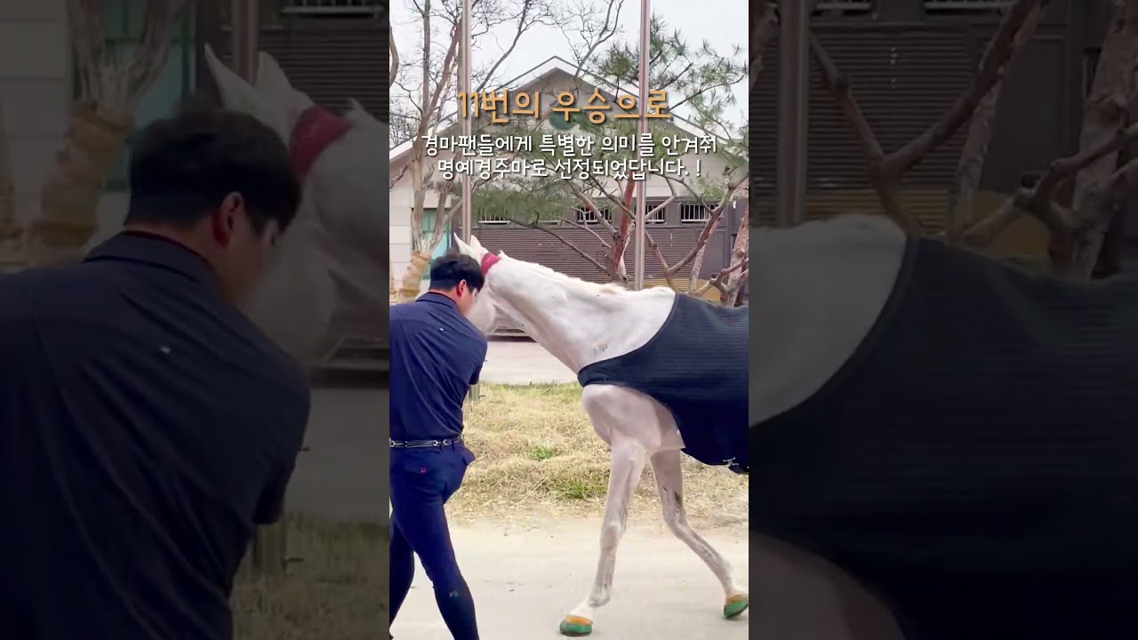 안성팜랜드 두번째 명예경주마를 소개합니다!