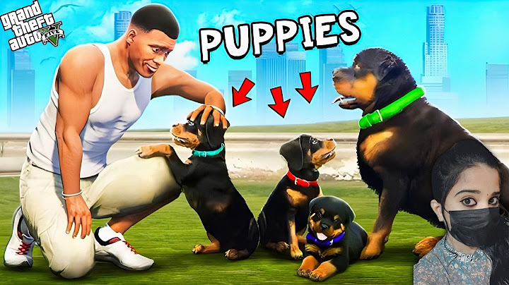 Franklin Found Chop Secret Puppies In GTA 5 | Shinchan&Chop - GTA5 #178