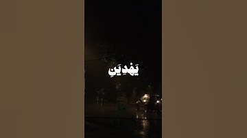 ولا تقولن لشىء اني فاعل ذلك غدا ..مقطع من سورة الكهف للقارئ الشيخ محمد صديق المنشاوي #minshawi