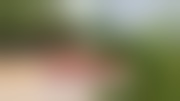 Bên trong khu vườn kẻ nổ súng giết 4 người trong sới bạc đang ẩn nấp