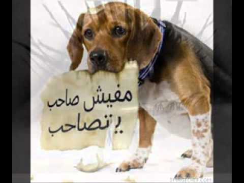 نفسي يا عالم هشااااااااااااااااااام