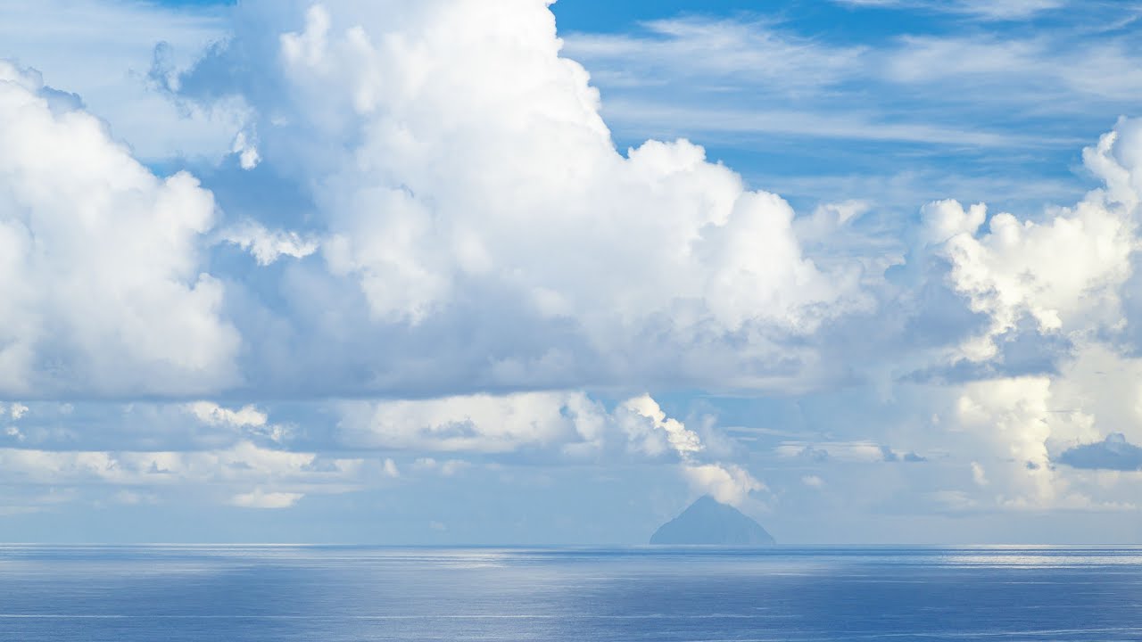 Utsugi-Natsumeku （夏めく）