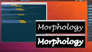 8. Video Surveillance, Background Modeling, and Morphological Operations Net Worth