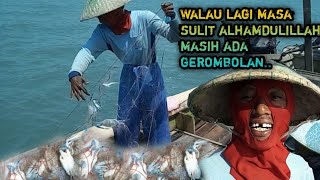 Kehebohan nelayan ketika dapat gerombolan rajungan @ichalanbunk