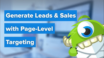 Generate More Leads and Sales With Page Level Targeting