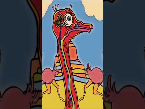 حجم عين النعامة اكبر من حجم دماغها