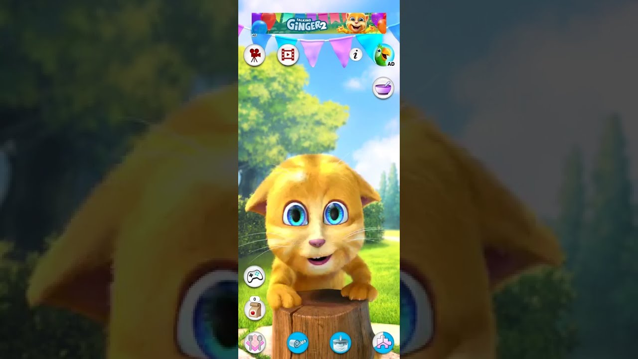 Talking Ginger 5 Shorts