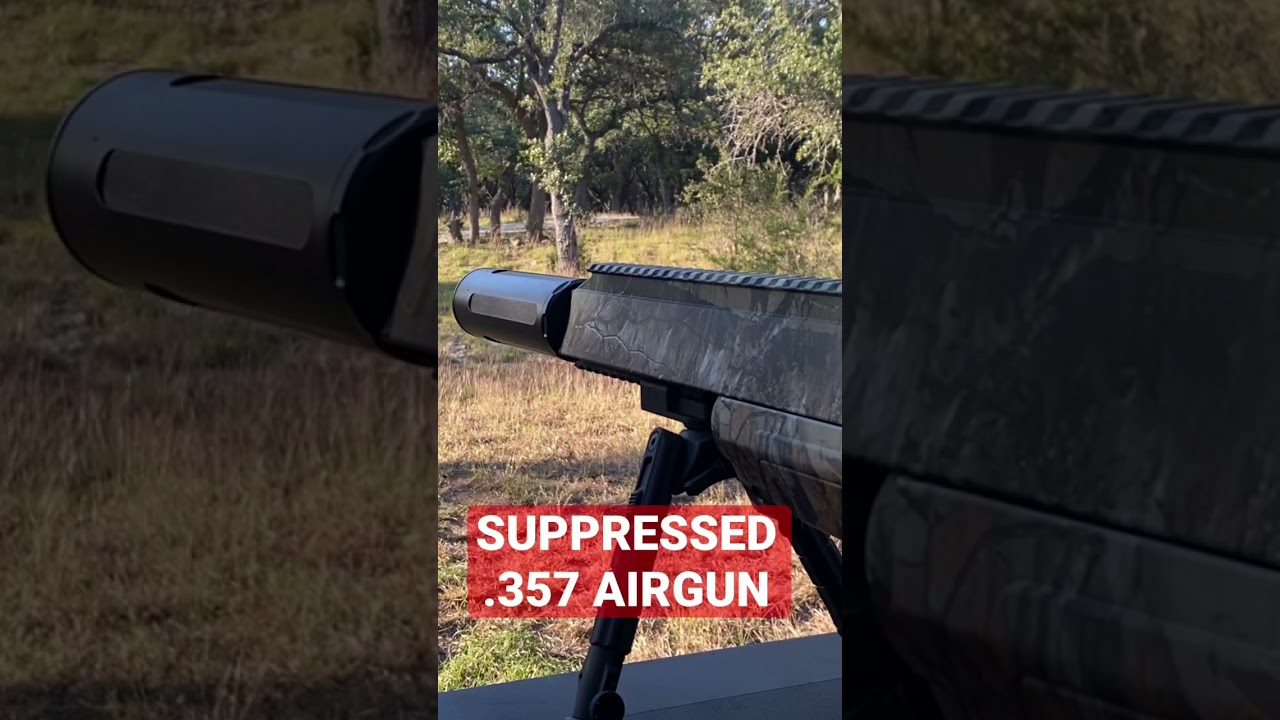 White Tail Deer Crossing The Range While Shooting the Benjamin Bulldog .357