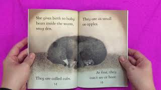 Bears (Level 1) - Usborne Books and More