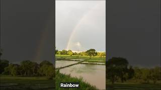 #Rainbow #funny #music #nature #colors