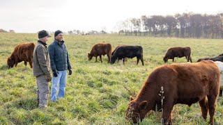 A Grazing Movement is Growing in Sauk County, Wisconsin