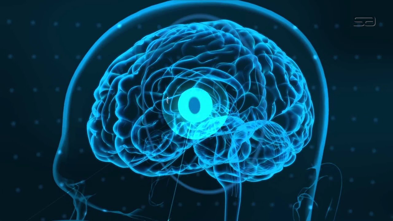 Step Ahead Consulting - Institutional Video