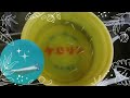 【幹之めだか】後半にケロリン桶で泳ぎます！4月に生まれた針子が、キラキラ成魚になり産卵！癒しの幹之ワールドへようこそ！