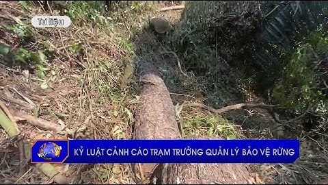 Kỷ luật cảnh cáo trạm trưởng quản lý bảo vệ rừng