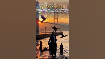 Học tiếng Nhật cùng VNS ! [luyện nghe tiếng nhật qua video] #vns #duhocnhatban #họctiếngnhậtonline