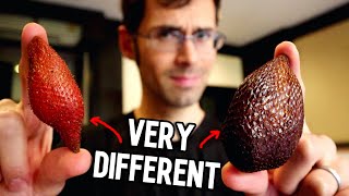 SNAKE FRUIT  Thai VS Indonesian