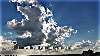 یدێتی سروشتی جوانی کوردستان