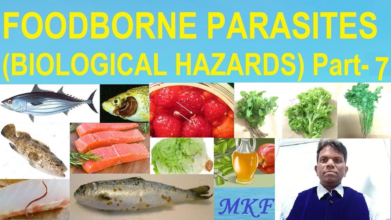 FOODBORNE PARASITES BIOLOGICAL HAZARDS Part 07 YouTube