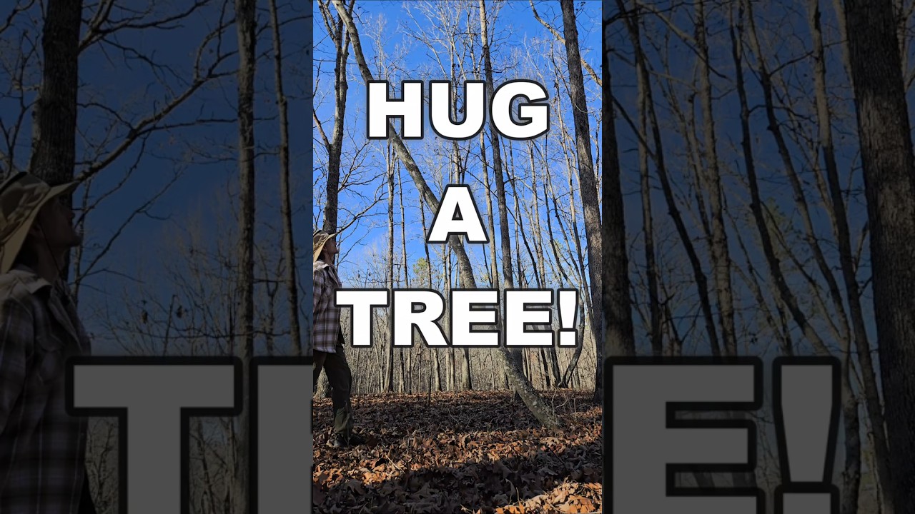 Go Hug A Tree! 