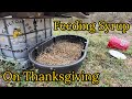 Adding Feed on Thanksgiving