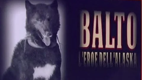 Che razza di cane e Balto?