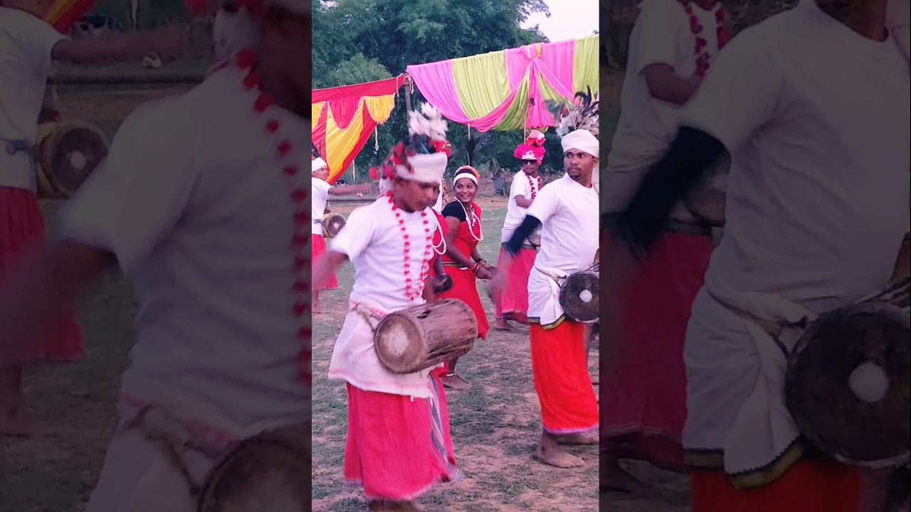 johar Gondwana status 🙏