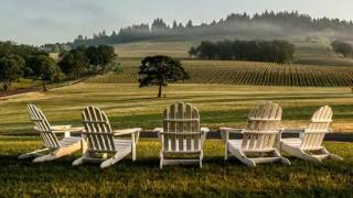 wine tasting tour dundee oregon