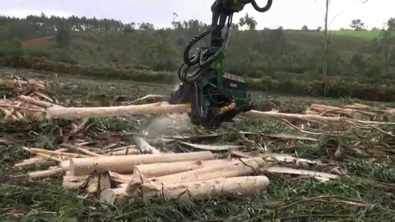 NEWHOLLAND DE CADENAS, CORTADORA DE PINOS Y EUCALIPTO