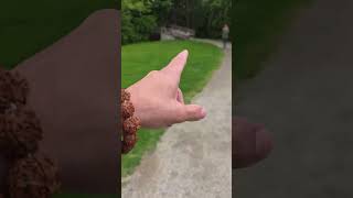 7 Millbridge Creek park .. on the old W.A.C. Bennett House property Kelowna B.C