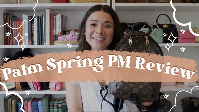 QUICK REVIEW  Louis Vuitton Palm Springs PM & Why it's the BEST