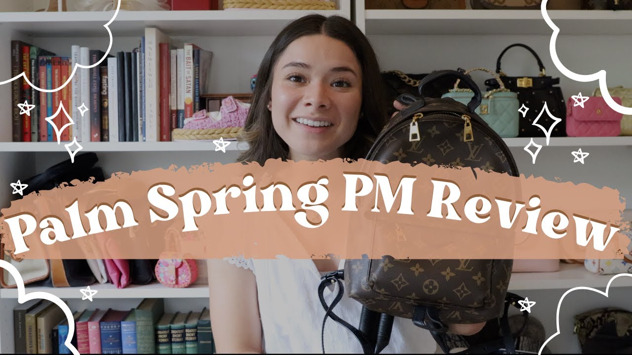 Louis Vuitton Palm Spring PM vs Mini | Which do I prefer? | Pros and Cons