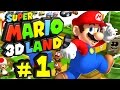 Super Mario 3D Land の動画、YouTube動画。