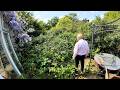 Jims roof collapsed as we started his garden rescue jim ep1