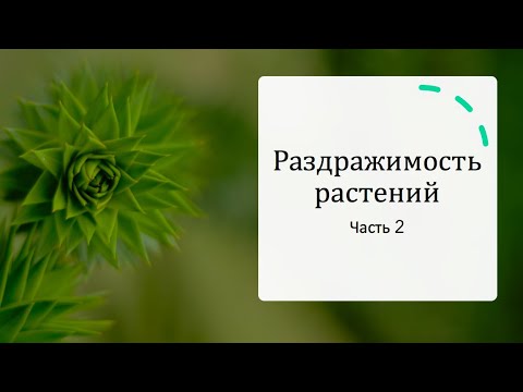 Video: Тигмоморфогенез деген эмне - кытыгылаган өсүмдүктөр алардын өсүшүнө жардам береби