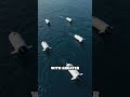 AI and the Hidden Depths: Ocean Exploration 2050