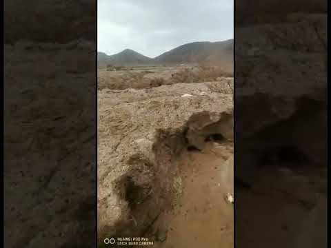 السعودية البرديه دافنه الحلال بيشه لا حول ولا قوة الا بالله الله يعوضه خير مركز العاصفة