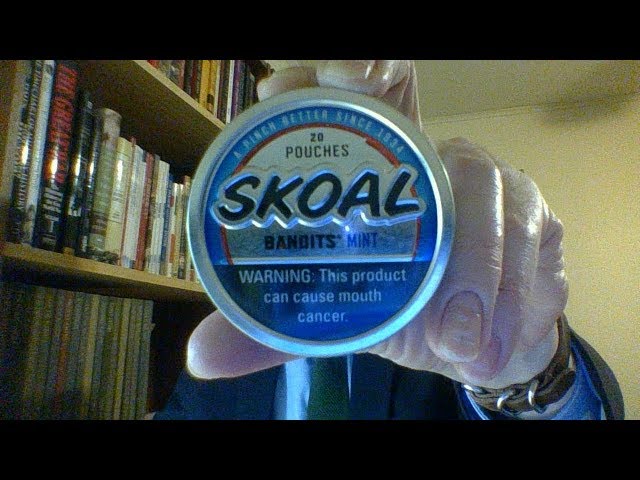 bandit tobacco pouches Skoal Moist SKOAL X-TRA POUCH WINTERGREEN -