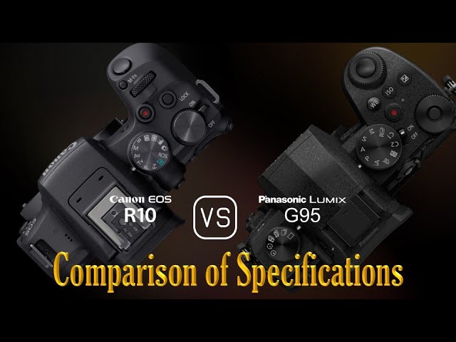 Canon EOS R10 vs. Panasonic Lumix G95: A Comparison of 