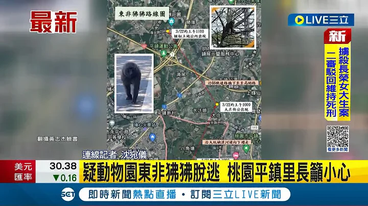 狒狒逃走中! 疑動物園東非狒狒脫逃 桃園平鎮里長手繪"狒狒逃跑路線"籲民眾小心│記者 沈宛儀│【LIVE大現場】20230323│三立新聞台 - 天天要聞