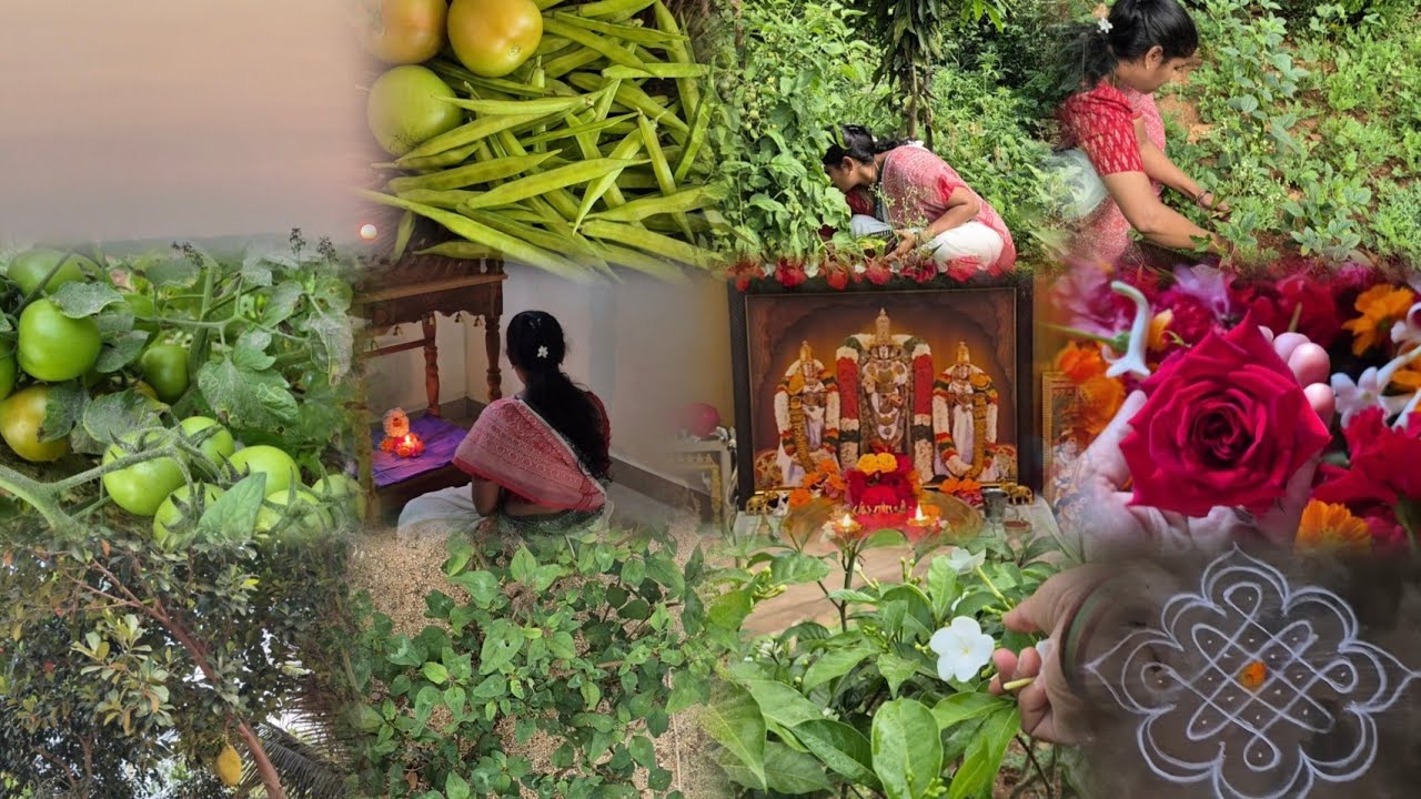 🌼 సాదాసీదా ఉదయం జీవితం | పూజ & తోటలో పండిన కూరగాయలు