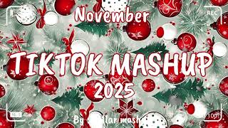 Tiktok Mashup November 2025 Not Clean
