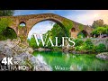 ويلز 4K اكتشف الجمال الطبيعي لهذا البلد المذهل الموسيقى المهدئة ويلز 4K اكتشف الجمال الطبيعي لهذا البلد المذهل الموسيقى المهدئة