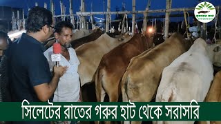সিলেটের বিখ্যাত পুরকায়স্থ গরুর হাট থেকে সরাসরি