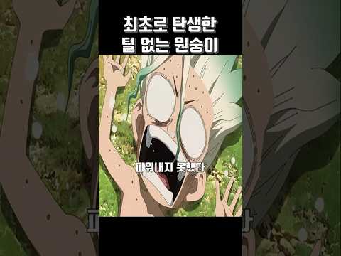 지구에서 최초로 탄생한 털없는 원숭이 센쿠 닥터스톤 애니메이션 Shorts