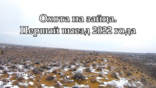 ОХОТА НА ЗАЙЦА. Первый выезд 2022 года.